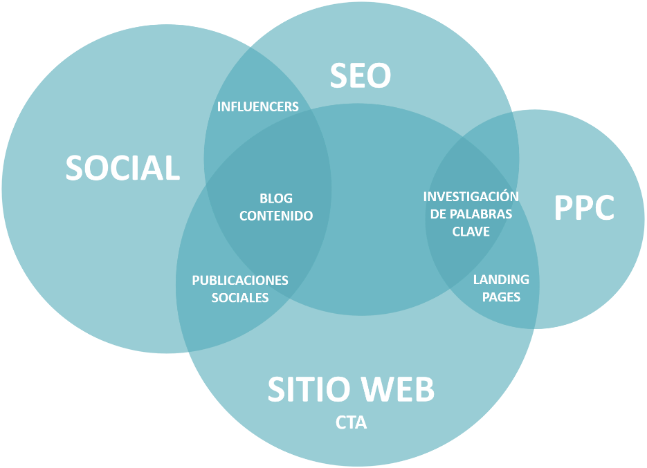 Los principios básicos del  Marketing Digital 2