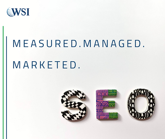 WSI Social Post on SEO - blog 3