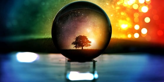 Crystal ball with a tree in the centre.